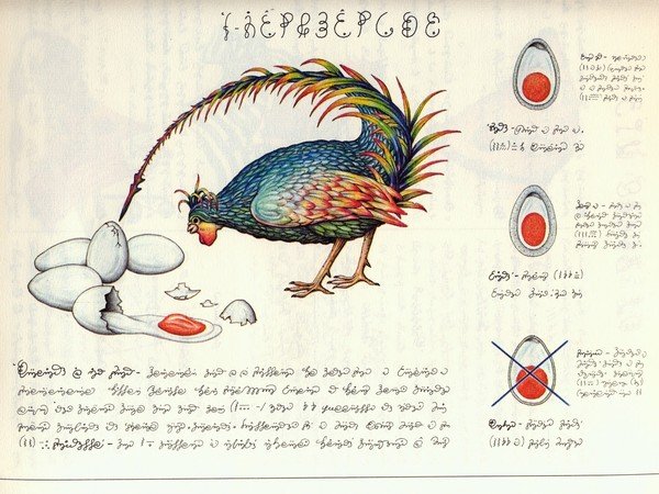 Tavola dal Codex Seraphinianus di Luigi Serafini